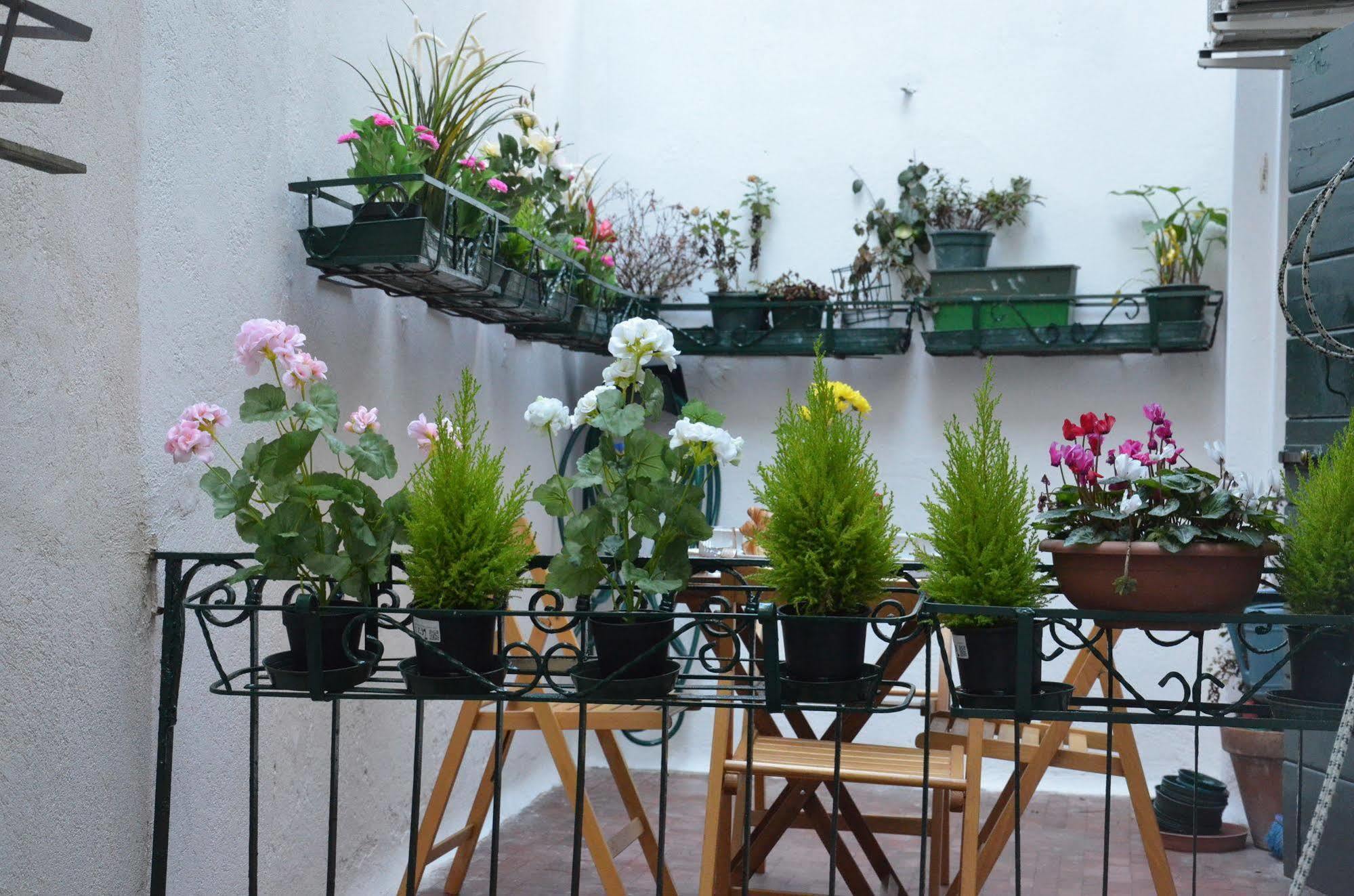 Venice Life Kültér fotó